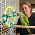 thumbnail image 4 of Interactive Bird Training Toy with Foraging Wheel for Parrots Conures and Small Pet Birds, 4 of 4