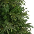 thumbnail image 3 of Northlight 6.5' Pre-Lit Roosevelt Fir Artificial Christmas Tree - Clear Lights, 3 of 7