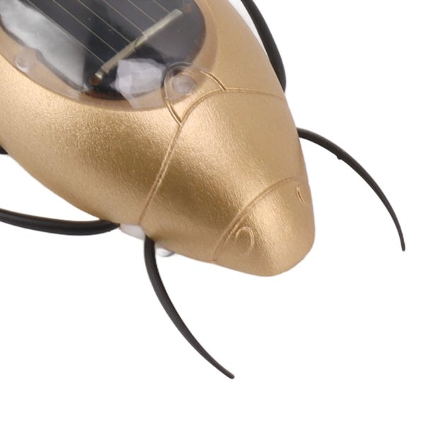 Super One Insecto Juguete modelo de insecto realista, modelo de insecto simulado modelo ...