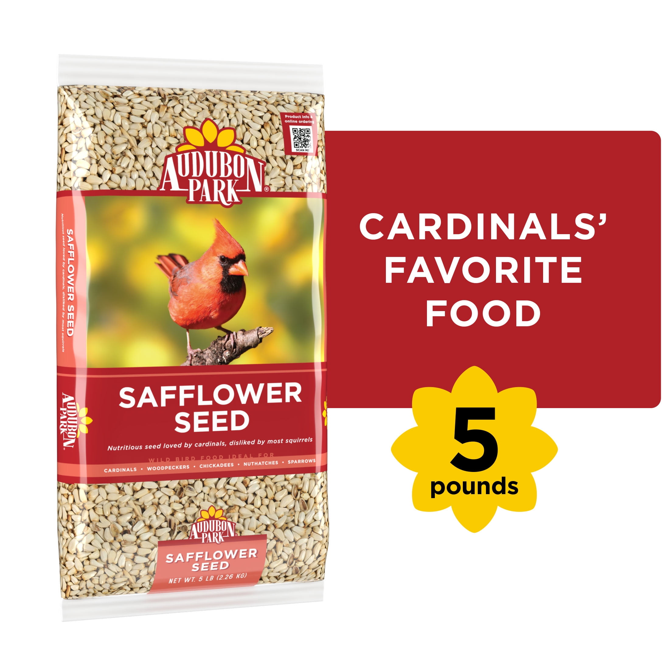 Audubon Park Safflower Seed Wild Bird Food, New, 5 lb. Bag