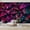 Color 1, variant on Wallpaper Vibrant Rainforest Jungle Botanical Bold Pink Teal Leaves Peel and Stick Wall Murals 100"H x 144"W Removable PVC Wall Paper Self-Adhesive Wall Paintings Art Decor for Bedroom Living Room