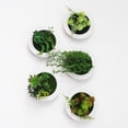 thumbnail image 3 of Planta de flores artificiales de 7 8 pulgadas con marco redondo para exhibición de fotos maceta para colgar en la pared pared Vertical interior, 3 of 8