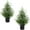 2PCS, variant on 1 Pack 24" Artificial Norfolk Pine Potted Trees – Realistic Faux Christmas Greenery for Tabletop, Mantel, Entryway & Holiday or Year-Round Home Décor