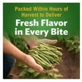 thumbnail image 4 of Del Monte 2 pack  Blue Lake Whole Green Beans, Canned Vegetables, 14.5 oz Can, 4 of 6