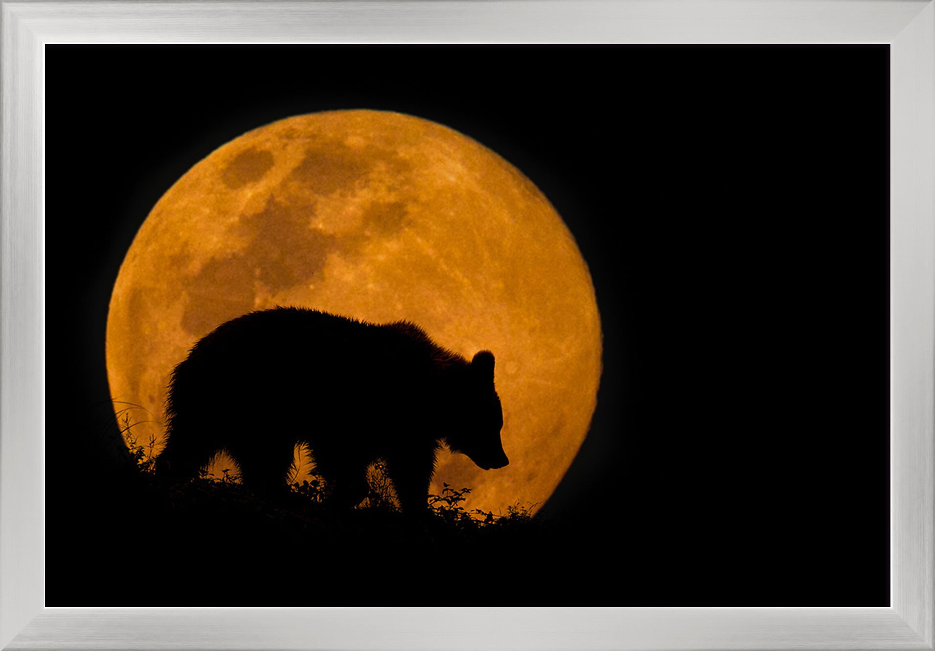 Bear Silhouette and Full Moon 18x12 Gallery Quality Metal Art 