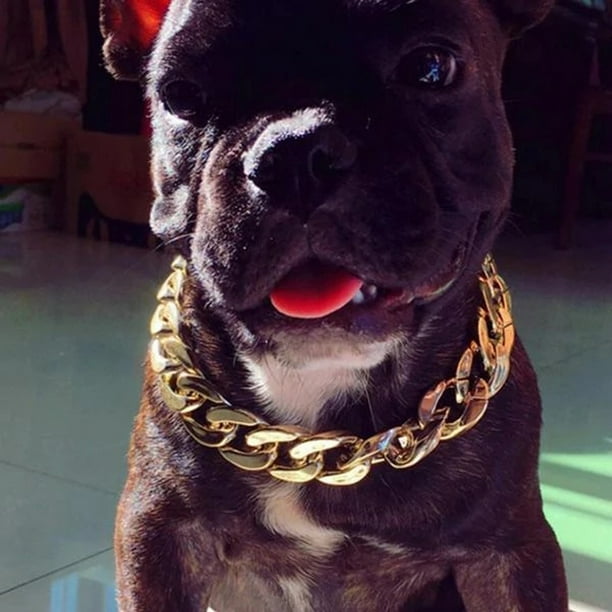 Dog chain collar clearance walmart