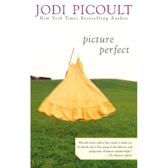 Pre-Owned Picture Perfect Paperback