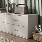 Furniture of America Brooks Stackable 2-Drawer Wood Gray Cabinet