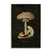Stupell Industries Vintage Mushroom Study Plants & Flowers Painting Black Framed Art Print Wall Art, 12 x 18