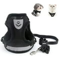 thumbnail image 1 of Bienvenido Arnés para Gatos para Adultos, Collares, Arneses y Correas para Gatos Chihuahua, Arnés para Gatitos, con Colgante de Dirección Antipérdida y Campanas para Gatos, M, 1 of 4