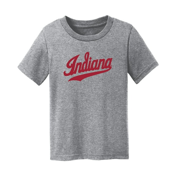 Infant Chad & Jake  Heather Gray Indiana Hoosiers Script Logo T-Shirt