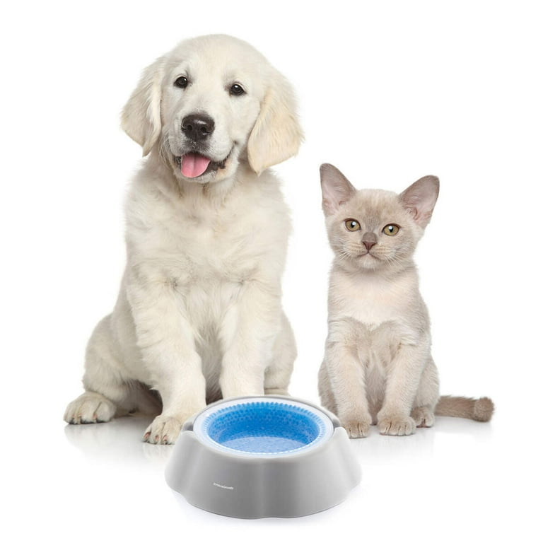 Cooling Pet Water Bowl Freshty InnovaGoods Walmart