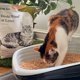 thumbnail image 4 of Arena para gatos de madera KOCHO Hinoki reciclada, ultraligera, aroma natural de ciprés japonés Hinoki, suave y sin polvo, 4 of 6