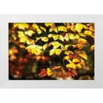 thumbnail image 3 of Alan Hausenflock 4x24 White Modern Wood Framed Wall Art Titled - Autumn Leaves II, 3 of 5