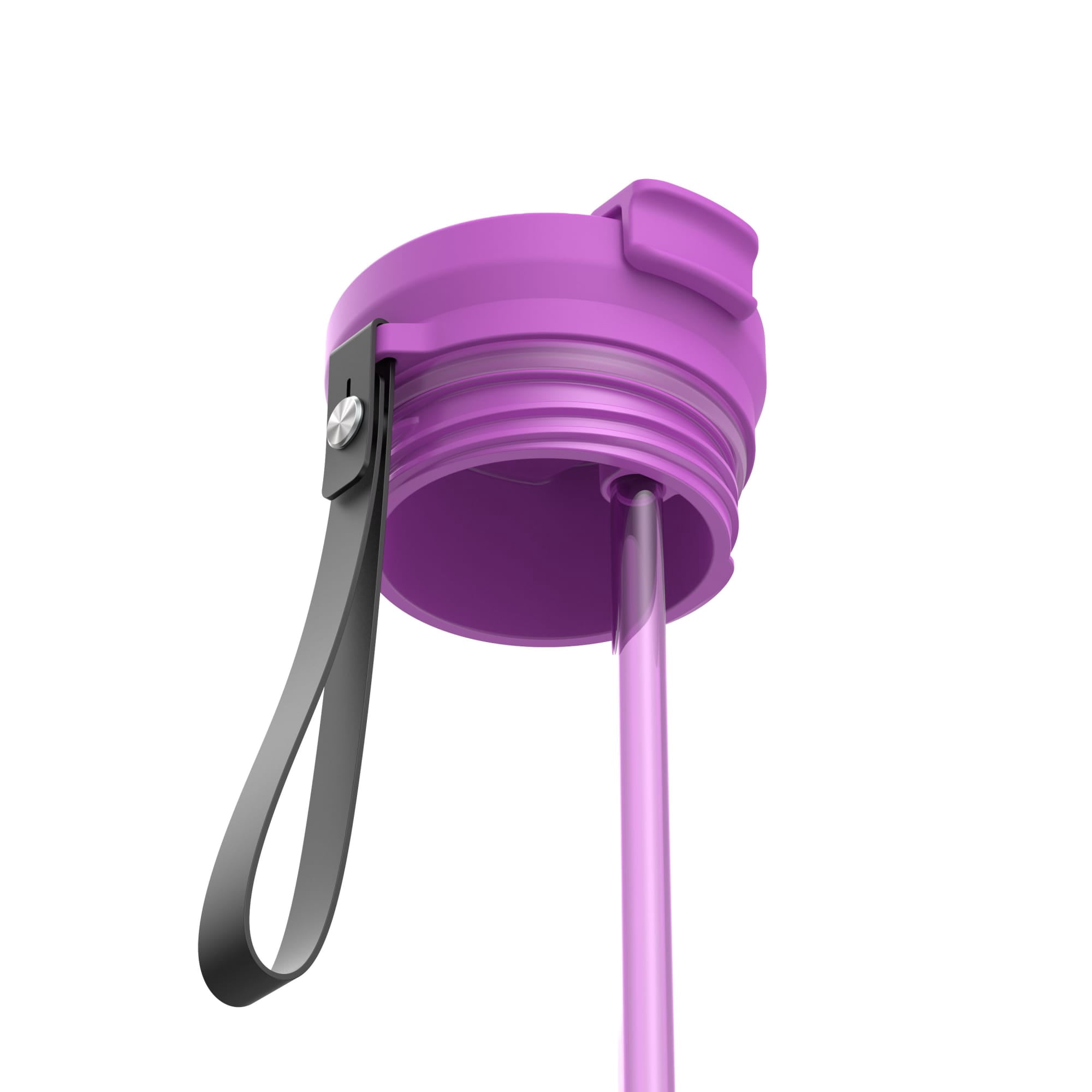 Contigo 24 oz DualSip Stainless Steel Leak-Proof Insulated Water Bottle with Straw or Sip Lid and Carry Strap, Purple/Champagne
