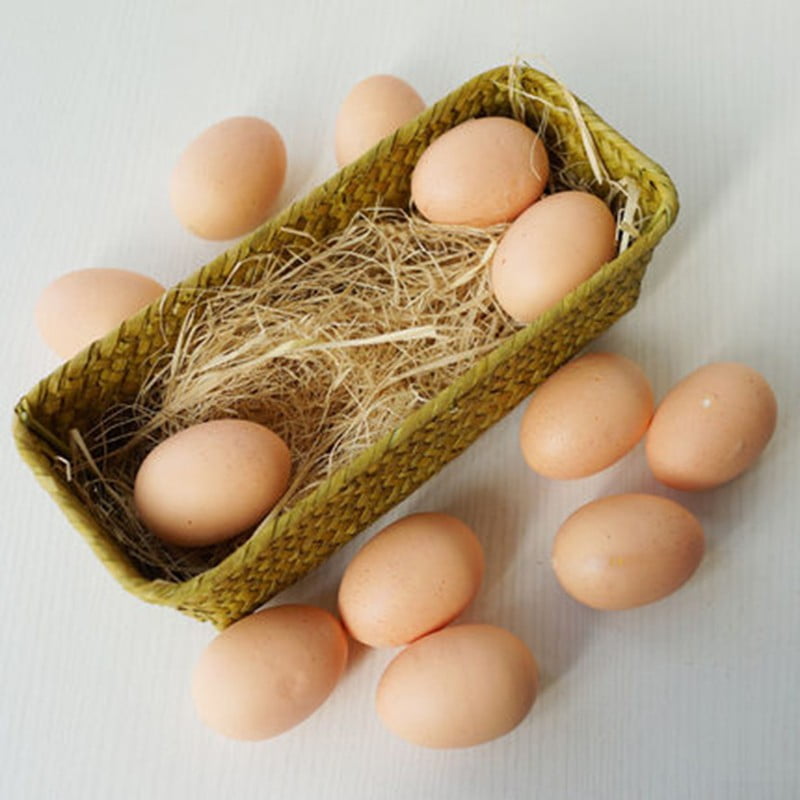 10x Artificial Nest Eggs Fake Faux Toy Food Dummy House Decor Photography Props 
