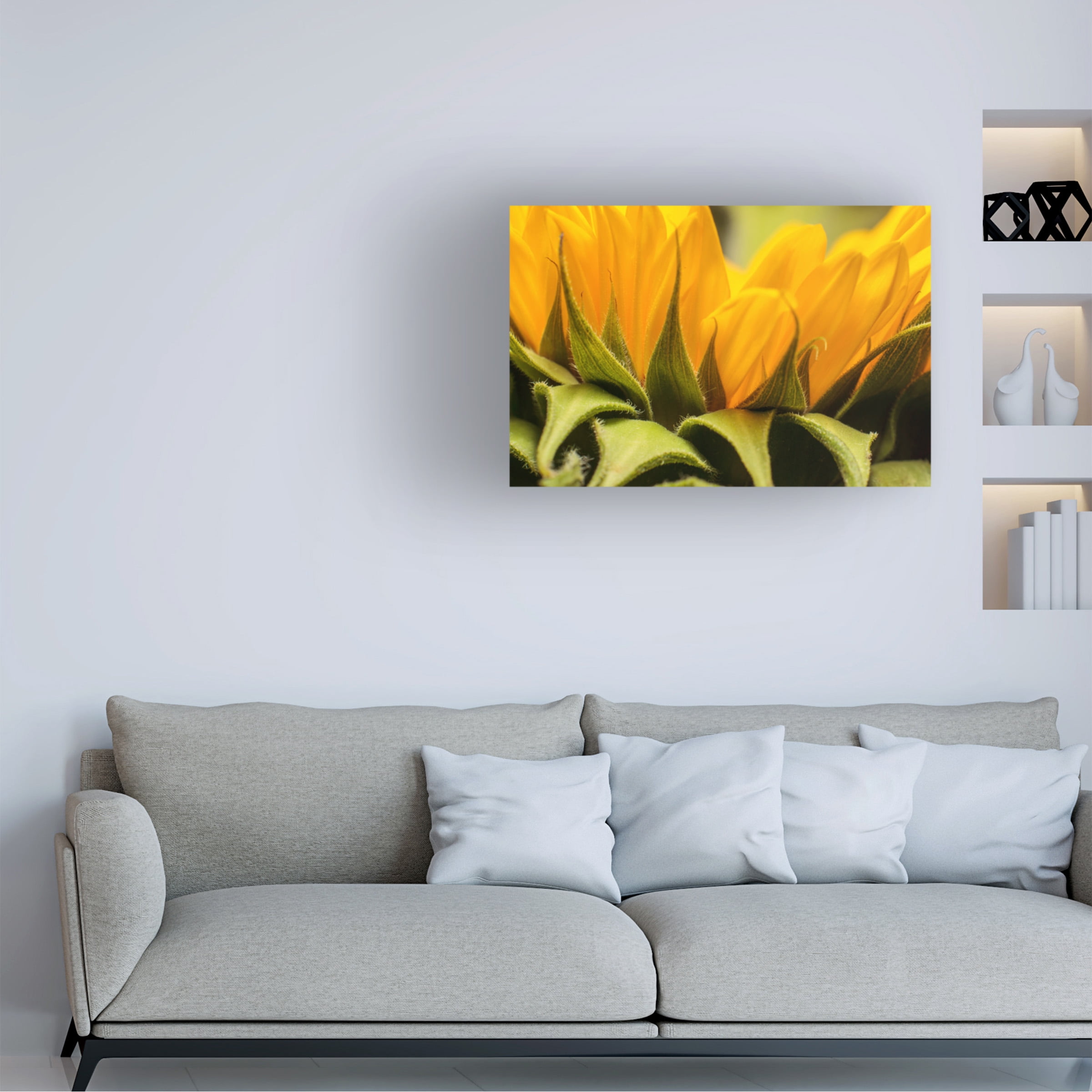 Mick Agterberg 'Close Up Details Of A Helianthus' Canvas Art