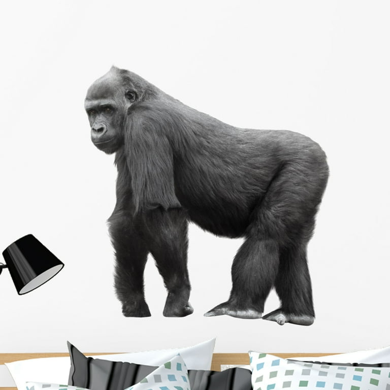 Cool Gorilla Decal, Gorilla Sticker, Gorilla Wall Art, Gorilla Wall Decor -  Bed Bath & Beyond - 33279214