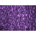 thumbnail image 1 of Ahgly Company Indoor Rectangle Patterned Purple Iris Purple Area Rugs, 5' x 8', 1 of 6