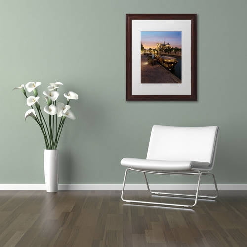 Trademark Fine Art "Sunset in Notre Dame de Paris" Canvas Art by Mathieu Rivrin, White Matte, Wood Frame