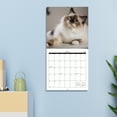 thumbnail image 2 of OMEYA 2026 Wall Calendar, 12-Month Calendar 12" x 12", Hanging Calendar with Thick Paper, Julian Dates, 4 Month Preview Page for 2025, Cool Cats Design for Office, Home Planning, Great for Gifting, 2 of 8