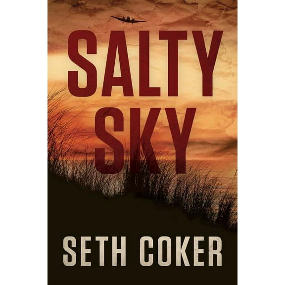 Salty Sky (Paperback)