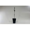 thumbnail image 5 of 3-Piece Dog Pooper Scooper Set with Waste Bin – Rake & Scoop Pet Waste Cleanup Tool, 5 of 6