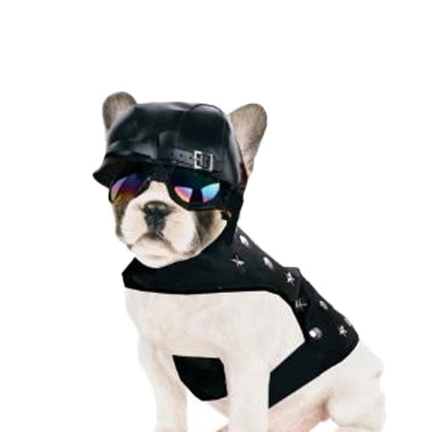 LeatherLike Dog Biker Jacket | Pet Costumes