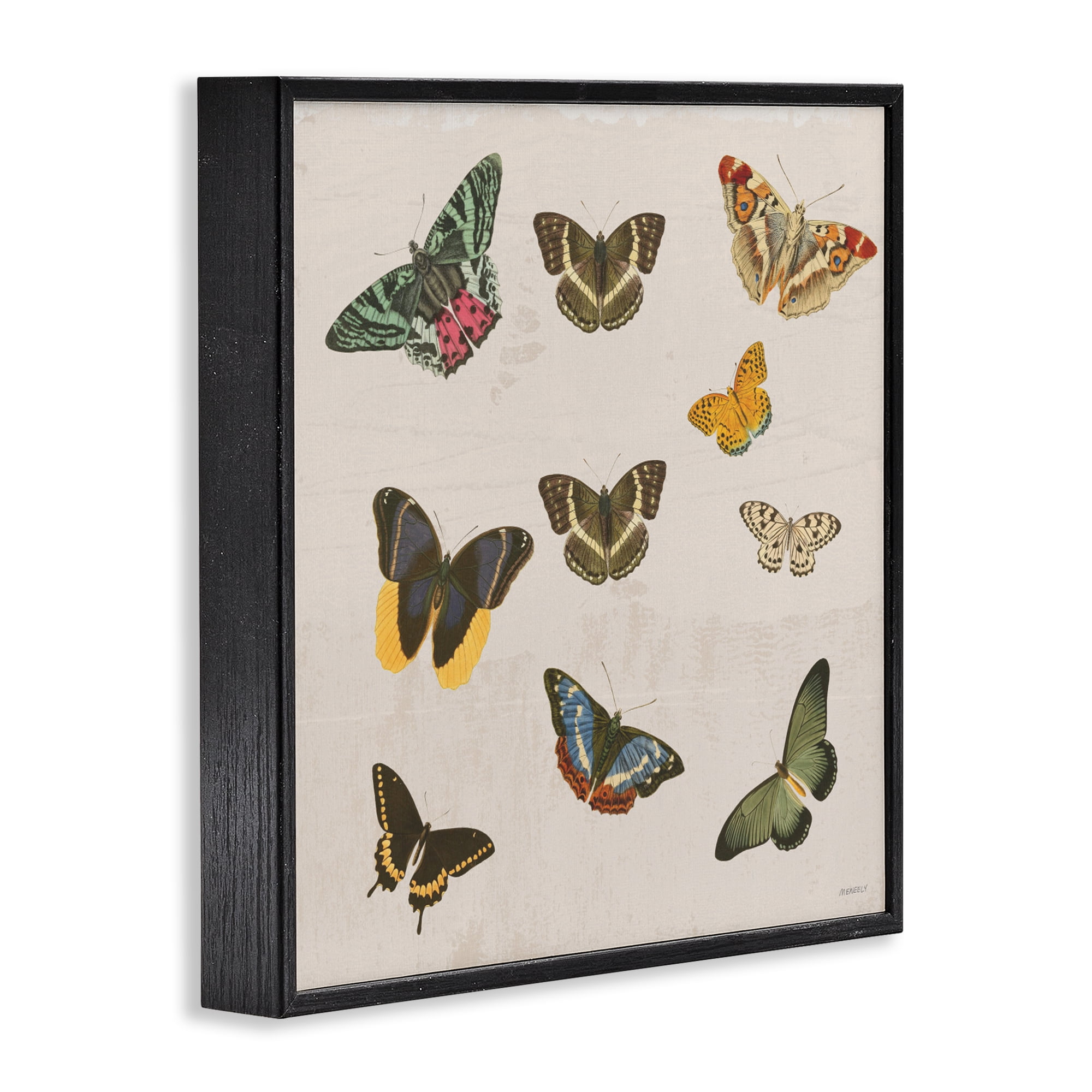 Stupell Industries Antique Butterfly Flight Black Framed Giclee Art, design by Dan Meneely