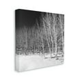 thumbnail image 3 of Stupell Industries Mysterious Snowy Forest Looming Nighttime Birch Trees Photograph Gallery Wrapped Canvas Print Wall Art, Design by Steve Smith, 3 of 7