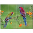 thumbnail image 1 of Bird Ceramic Tile Mural Kitchen Backsplash Bathroom Shower 402127-XL43, 1 of 3