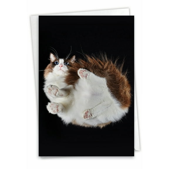 1 Birthday Card with Envelope - Under Cats C7185ABDG