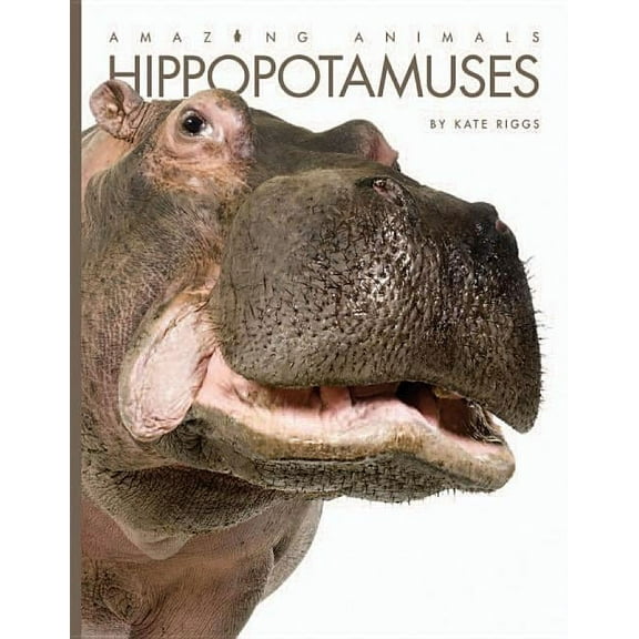 Amazing Animals: Hippopotamuses (Paperback)