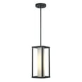 thumbnail image 2 of Trans Globe Lighting 51464 Adler 6" Wide Mini Pendant - Black, 2 of 6