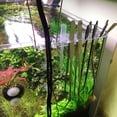 thumbnail image 4 of Greeniant Soporte para herramientas de acuario, herramienta de mantenimiento de plantas de agua, estante de almacenamiento, pinzas, tijeras, raspador, Piezas de acuario Greeniant PT0259-00, 4 of 6