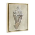 thumbnail image 2 of Stupell Industries Coastal Tan Toned Conch Shell Gold Floating Frame Canvas Art, 17 x 21, by Michael Willett, 2 of 7