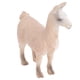 thumbnail image 5 of Figura De Animal, Juguete De Animal Educativo Para Proyectos Escolares Para Niños Para Manualidades Para Regalo De Cumpleaños, 5 of 7