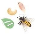 thumbnail image 2 of YLSHRF Insect Model, High‑Quality Animal Model Toy, For Kids Childs Kinderparten Home, 2 of 8