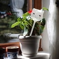 thumbnail image 5 of Globos de riego para plantas con forma de gato, 5 of 5