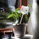 thumbnail image 5 of Globos de riego para plantas con forma de gato, 5 of 5