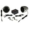 Renegade Motorcycle Kit Speaker and Amplifier 100W Max Chrome