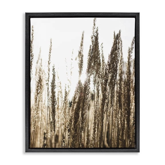 Stupell Industries Rustic Lodge Light Ray though Wheat Field Black Floating Frame Canvas Art, 25 x 31, by Susan Ball