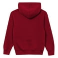 thumbnail image 3 of Toddler Outerstuff  Red Tampa Bay Buccaneers Back to Basics Hoodie, 3 of 3
