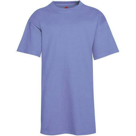 Hanes Boys 4-18 EcoSmart Short Sleeve Tee