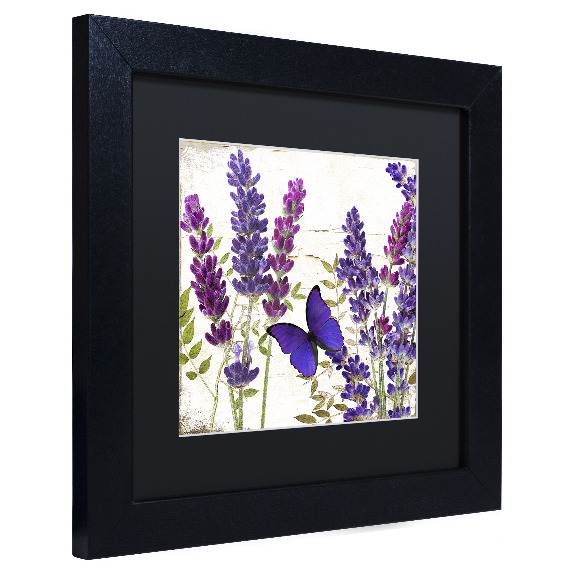 Trademark Fine Art "Lavender I" Canvas Art by Color Bakery, Black Matte, Black Frame