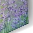 thumbnail image 3 of Epic Art 'Live Your Dreams' by Lori Deiter Acrylic Glass Wall Art, 24"x12", 3 of 8