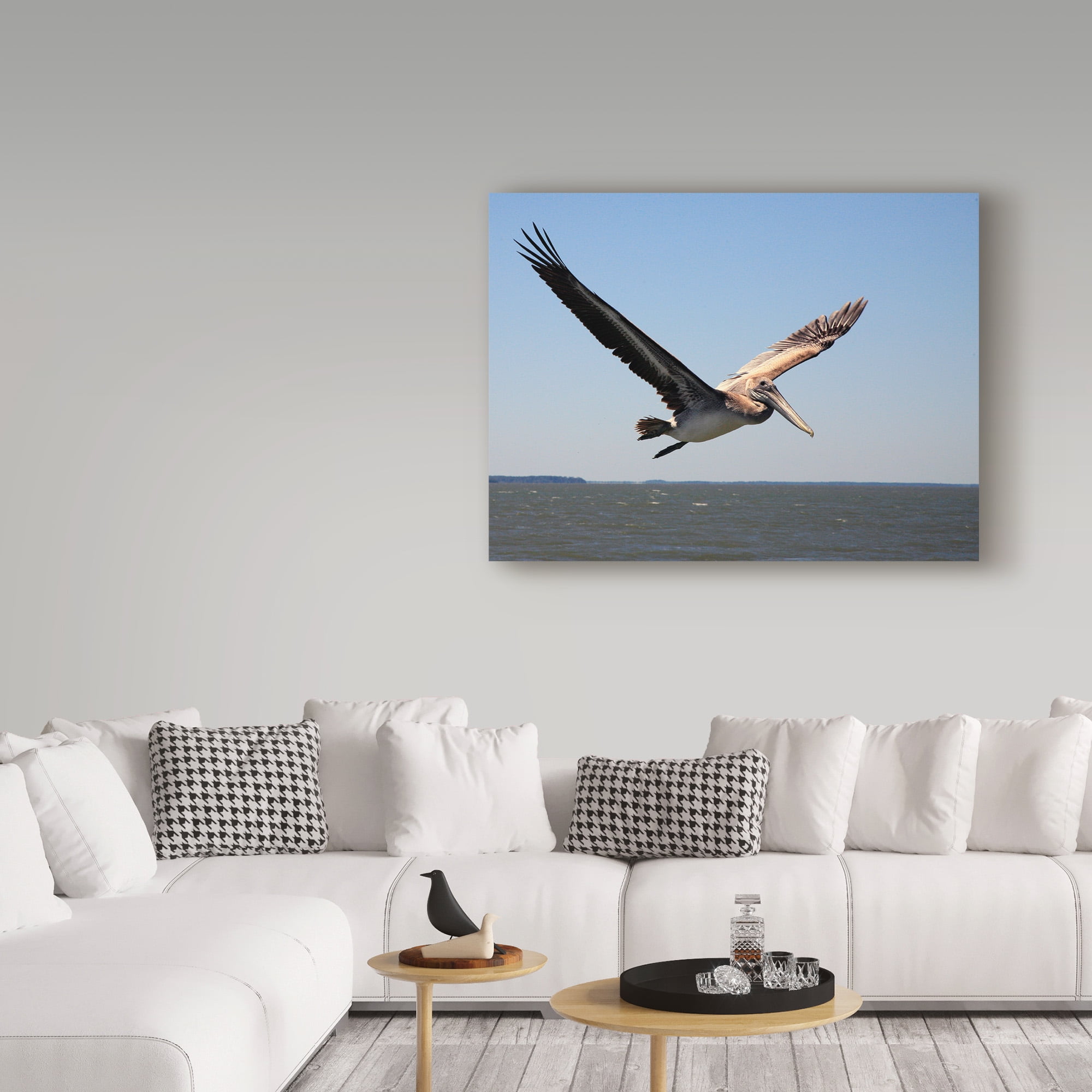 Trademark Fine Art 'Pelican Over Water' Canvas Art by J.D. Mcfarlan