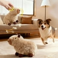 thumbnail image 3 of Capibala Interactive Squeaking Chew Toy for Dogs Biting Teething Soft Vocal Sound Design, 3 of 6