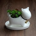 thumbnail image 4 of Maceta pequeña de cerámica para suculentas, recipiente para flores con bandeja, forma de Animal, Mini adorno, bonsái para decoración, regalo de Cactus Cachorro DYNWAVEMX Maceta suculenta, 4 of 8