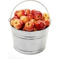 thumbnail image 3 of Behrens C17GS 4-1/4-Gallon Galvanized Steel Pail, 3 of 6